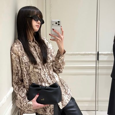 Dior Bag — 8