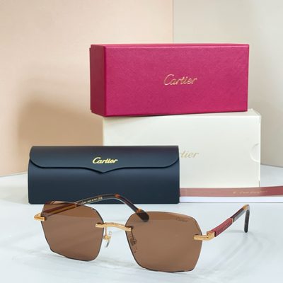 Cartier sunglasses