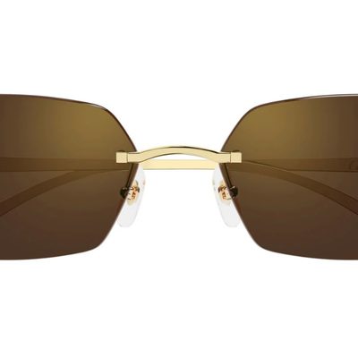 Cartier Sunglasses — 4