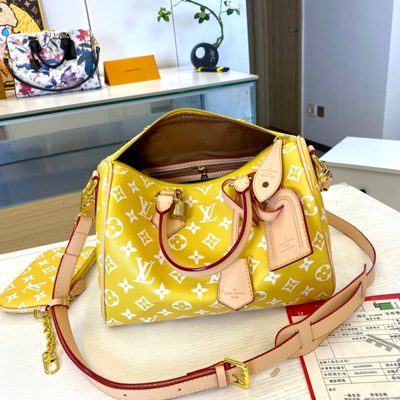 Louis Vuitton Bag — 4