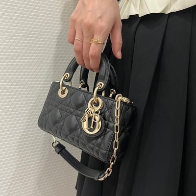 Dior Bag — 5