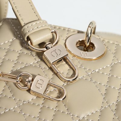Dior Bag — 5