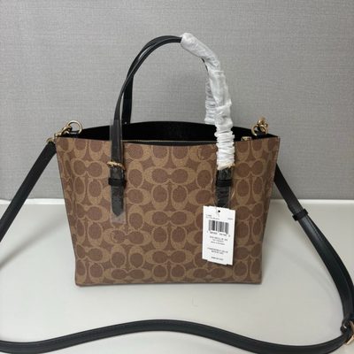 Coach Bag — 3
