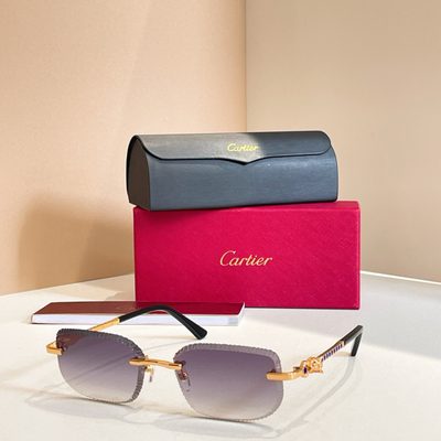 Cartier Sunglasses — 8