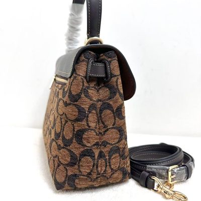 Coach Bag — 3