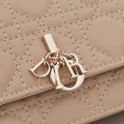 Dior Bag — 5