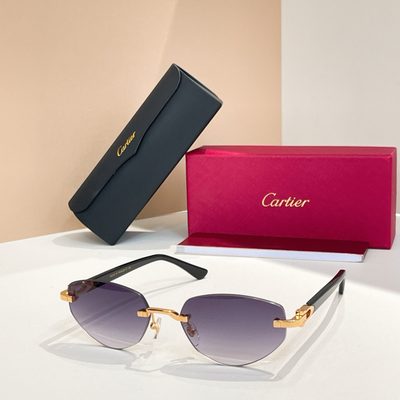 Cartier Sunglasses — 3