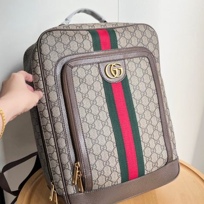 Gucci Bag — 5