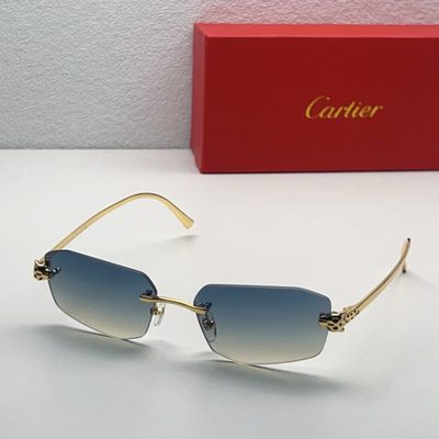 Cartier Sunglasses — 9