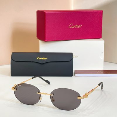 Cartier Sunglasses — 5