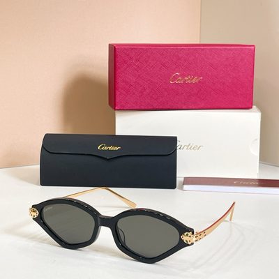 Cartier Sunglasses — 7