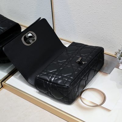 Dior Bag — 6