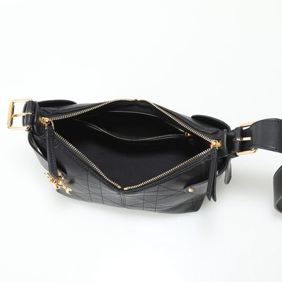 Dior Bag — 5