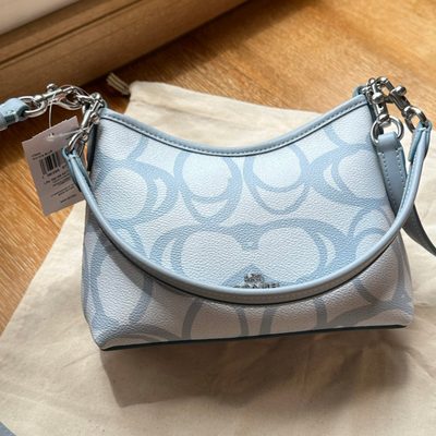 Coach Bag — 3