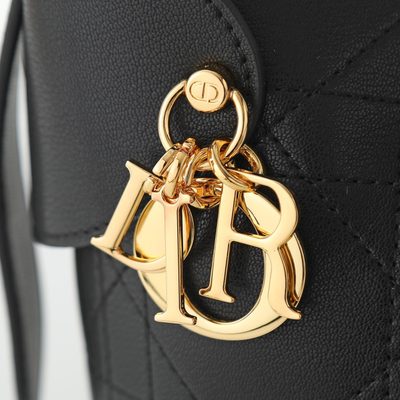 Dior Bag — 7