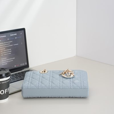 Dior Bag — 7