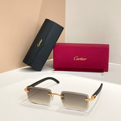 Cartier Sunglasses — 6