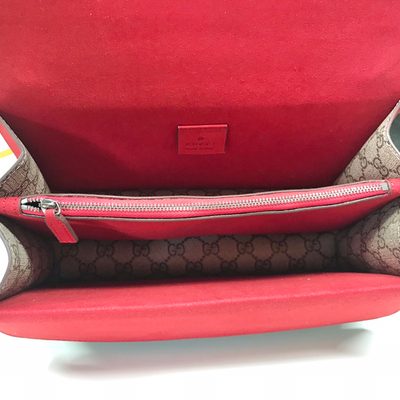 Gucci Bag — 8