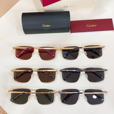Cartier Sunglasses — 9