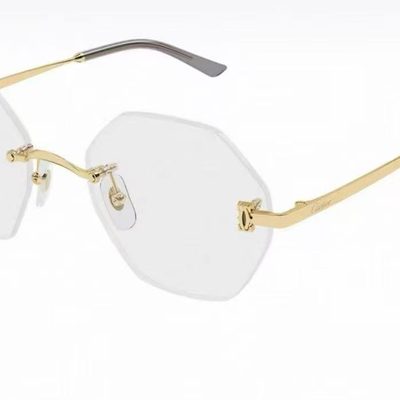 Cartier Sunglasses — 6