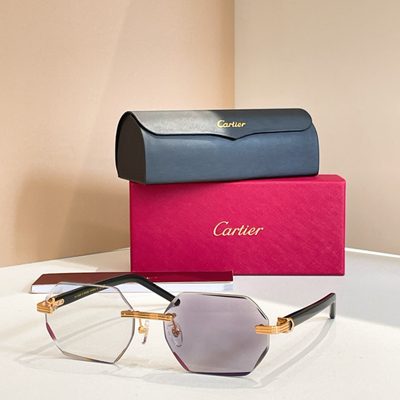 Cartier Sunglasses — 3