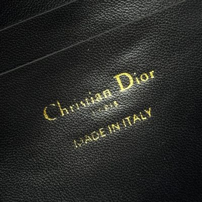 Dior Bag — 8