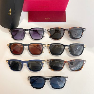 Cartier Sunglasses — 8