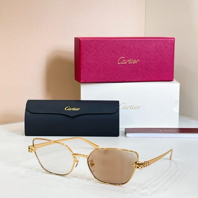 Cartier Sunglasses — 9