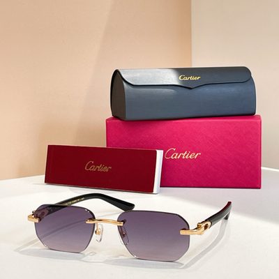 Cartier Sunglasses — 5