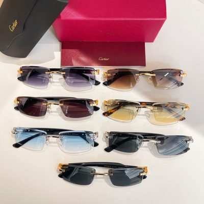 Cartier Sunglasses — 9