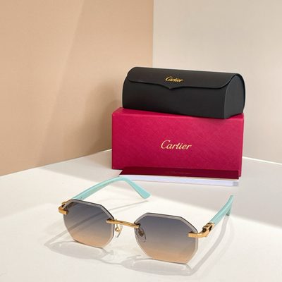 Cartier Sunglasses — 6