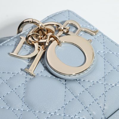 Dior Bag — 5