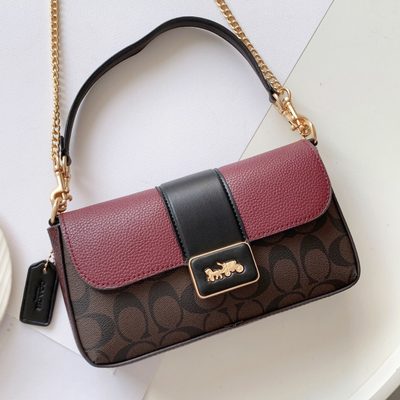 Coach Bag — 8