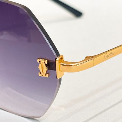 Cartier Sunglasses — 9