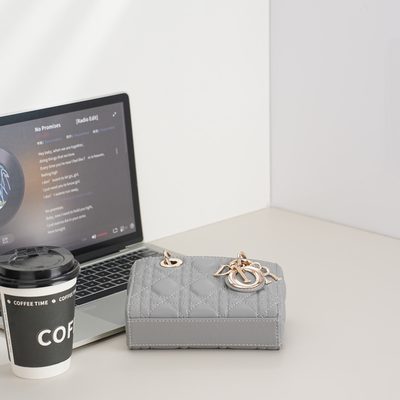 Dior Bag — 6