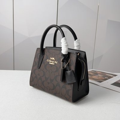 Coach Bag — 5