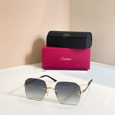 Cartier Sunglasses — 4
