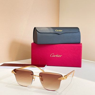 Cartier Sunglasses — 6