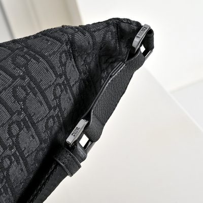 Dior Saddle Belt Bag — 7
