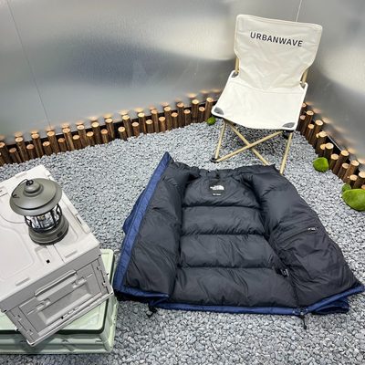 The North Face 1996 Retro Nuptse Puffer Jacket — 5