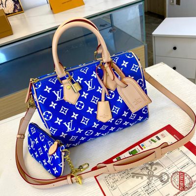 Louis Vuitton Bag — 3