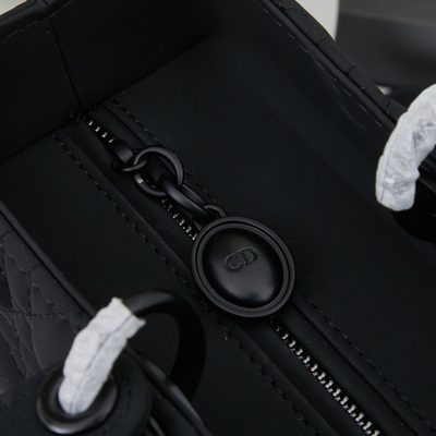 Dior Bag — 7