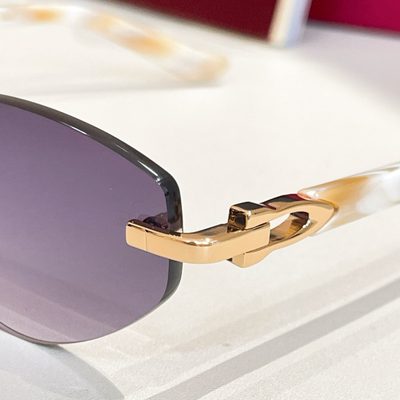 Cartier Sunglasses — 9