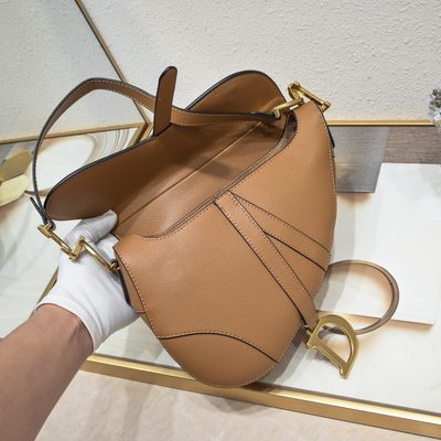 Dior Bag — 7