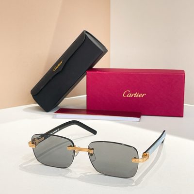 Cartier Sunglasses — 4
