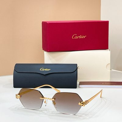 Cartier Sunglasses — 7