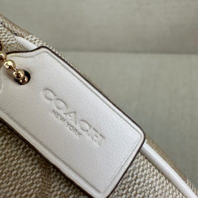 Coach Bag — 6