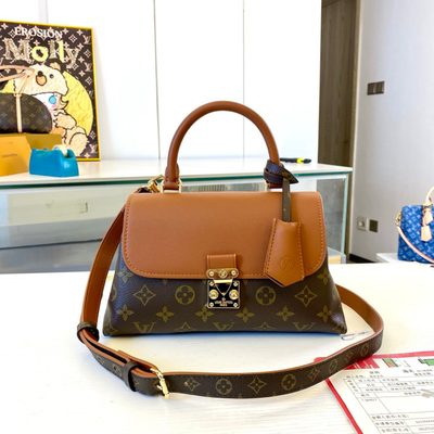 Louis Vuitton Bag