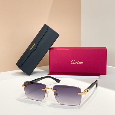 Cartier Sunglasses — 7