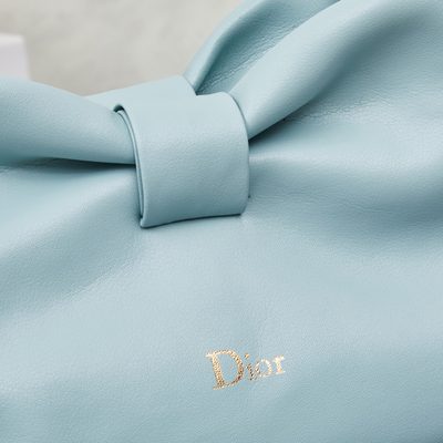 Dior Bag — 5